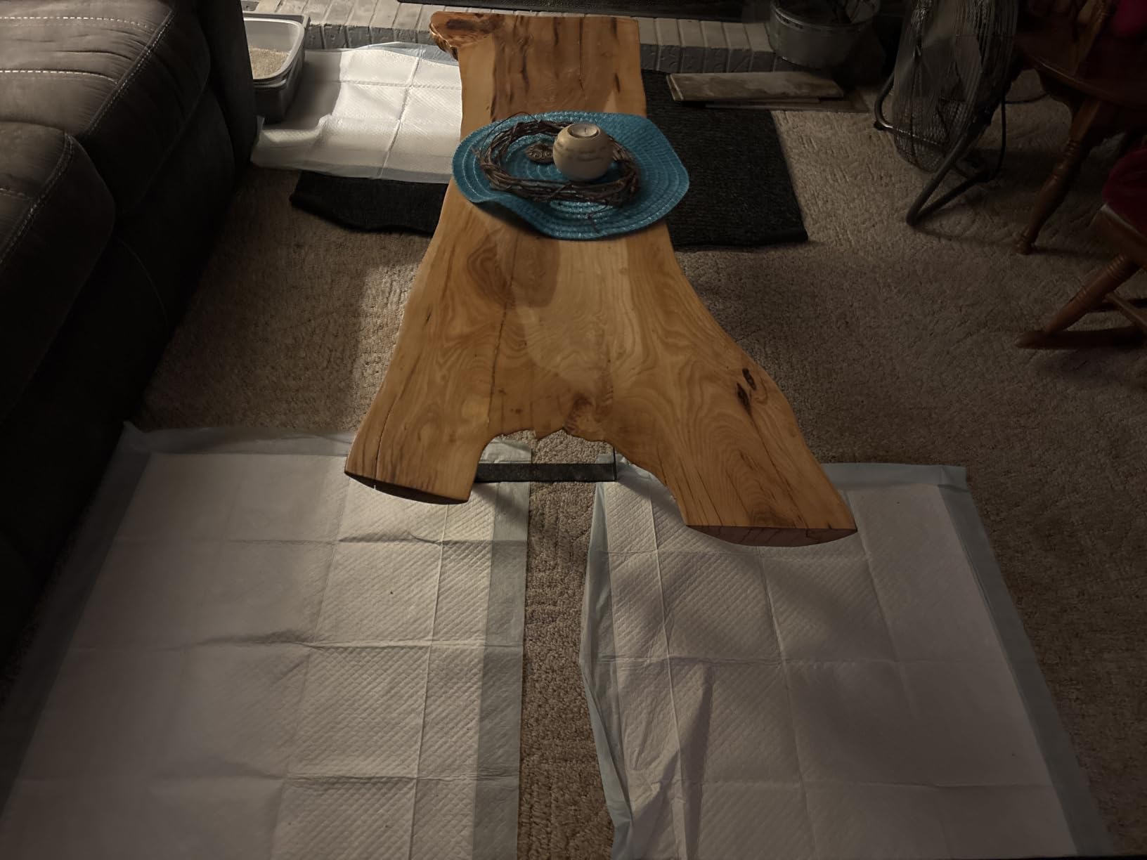 Two white underpads laid on carpet underneath a live-edge wood coffee table in a living room, with a litter tray on a pad in the background